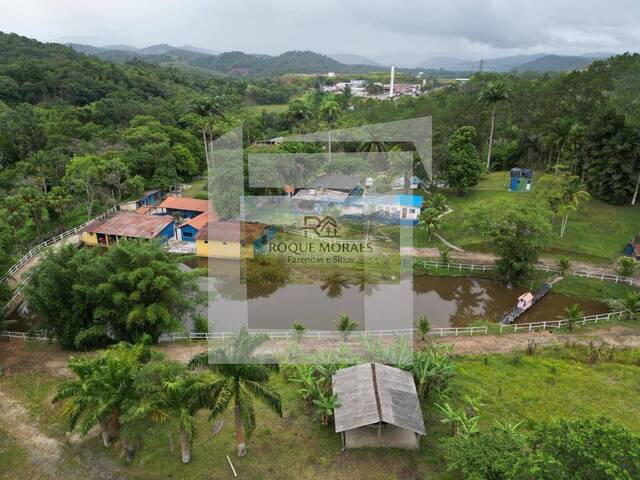 #40 - Sítio para Venda em São Paulo - SP
