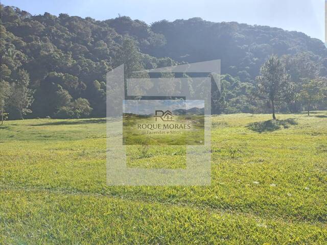 #43 - Sítio para Venda em São Paulo - SP