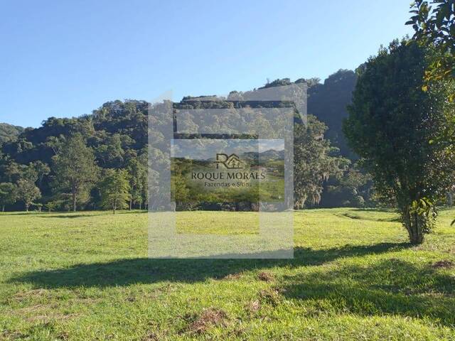 #43 - Sítio para Venda em São Paulo - SP