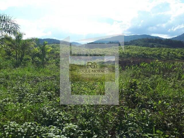 #53 - Sítio para Venda em São Paulo - SP