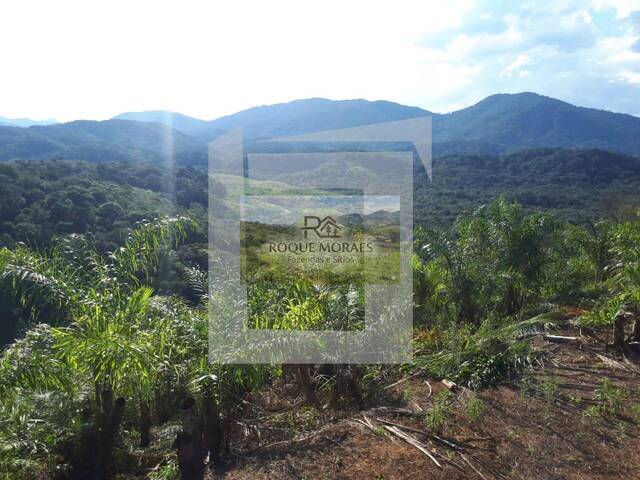 #53 - Sítio para Venda em São Paulo - SP