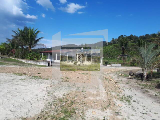 #53 - Sítio para Venda em São Paulo - SP