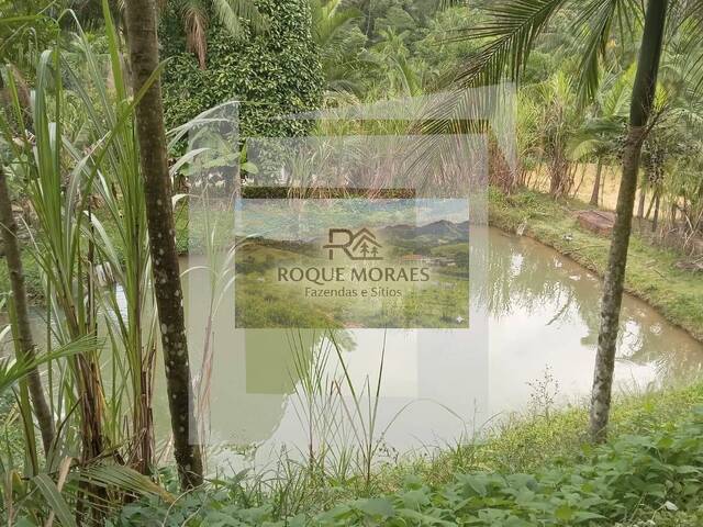 #55 - Sítio para Venda em São Paulo - SP