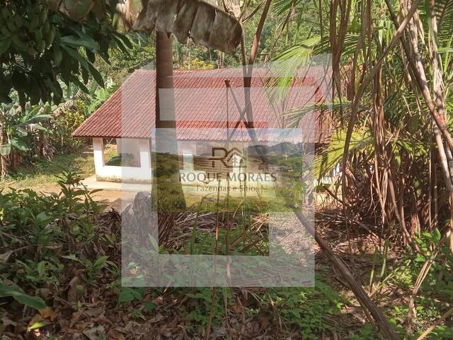 #55 - Sítio para Venda em São Paulo - SP