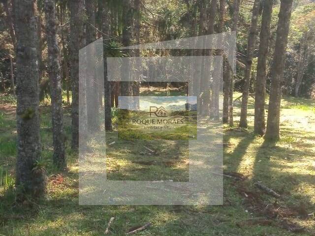 #63 - Sítio para Venda em São Paulo - SP