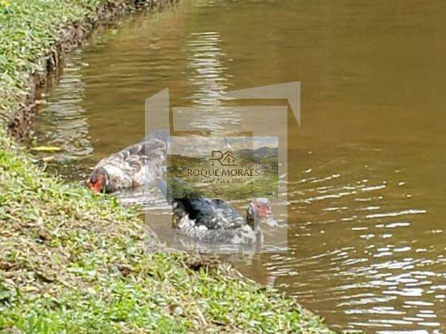 #68 - Chácara para Venda em São Paulo - SP