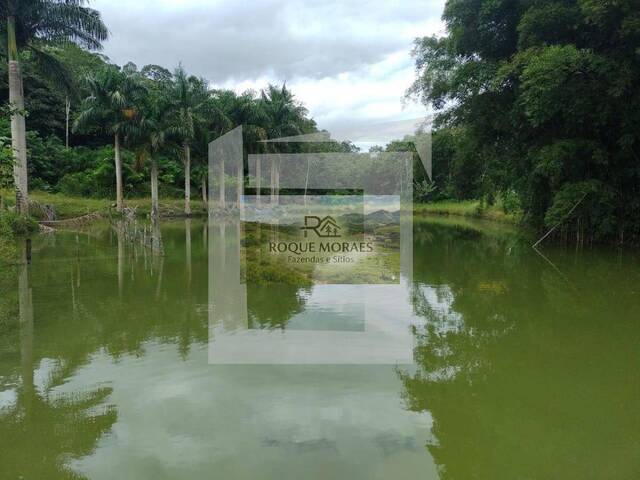 #77 - Sítio para Venda em São Paulo - SP