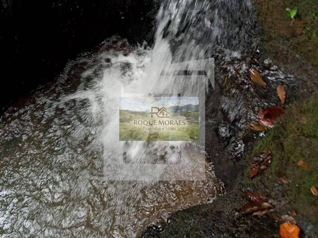 #81 - Sítio para Venda em São Paulo - SP