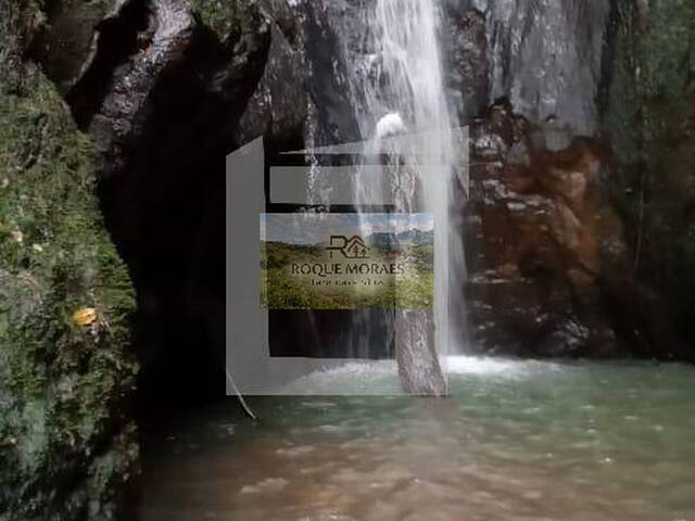 #81 - Sítio para Venda em São Paulo - SP