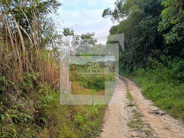 #82 - Sítio para Venda em São Paulo - SP