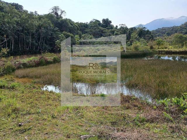 #86 - Sítio para Venda em São Paulo - SP