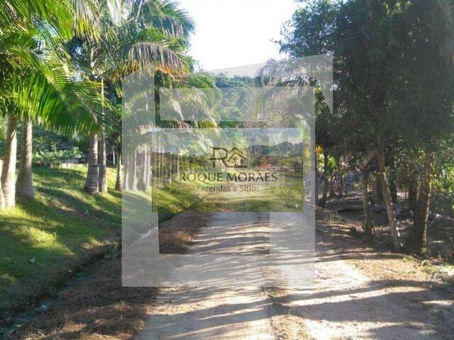 #90 - Sítio para Venda em São Paulo - SP