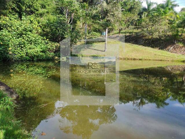 #91 - Sítio para Venda em São Paulo - SP