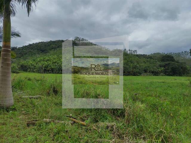 #92 - Fazenda para Venda em São Paulo - SP