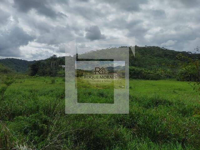 #92 - Fazenda para Venda em São Paulo - SP