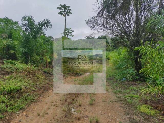 #95 - Sítio para Venda em São Paulo - SP