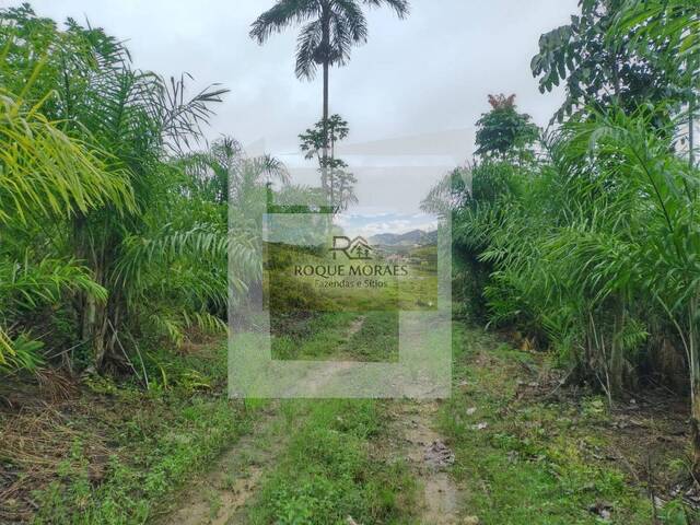 #95 - Sítio para Venda em São Paulo - SP