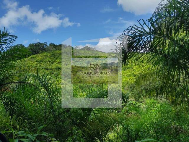 #97 - Sítio para Venda em São Paulo - SP