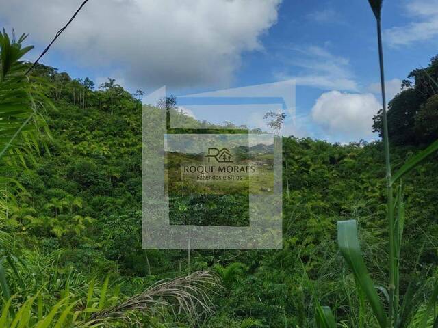 #97 - Sítio para Venda em São Paulo - SP