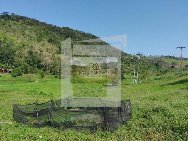 #99 - Sítio para Venda em São Paulo - SP