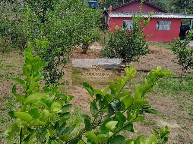 #105 - Sítio para Venda em São Paulo - SP