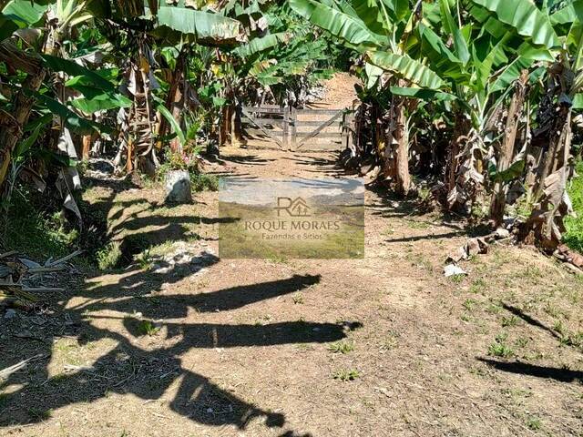 #105 - Sítio para Venda em São Paulo - SP