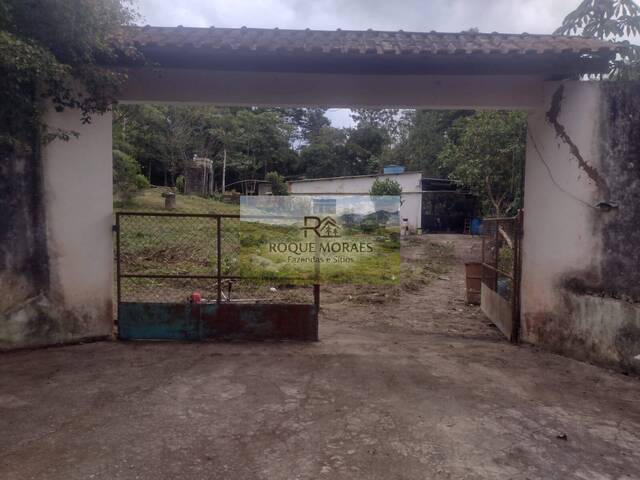  para  em  - 3