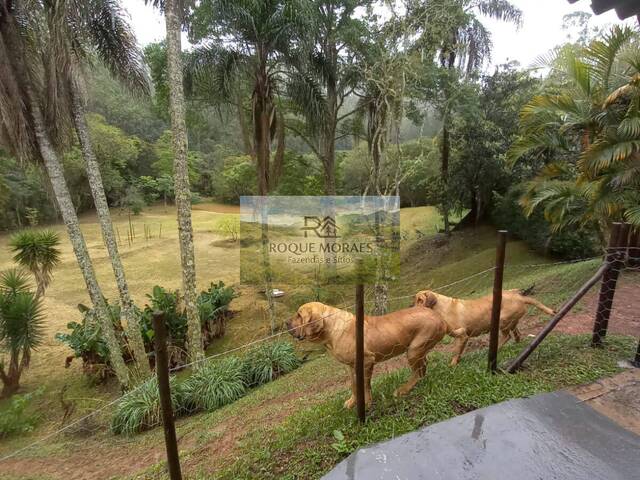 #127 - Sítio para Venda em São Paulo - SP