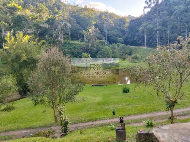 #128 - Sítio para Venda em São Paulo - SP