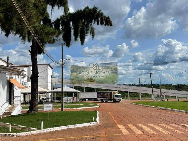 #136 - Galpão para Venda em São Paulo - SP
