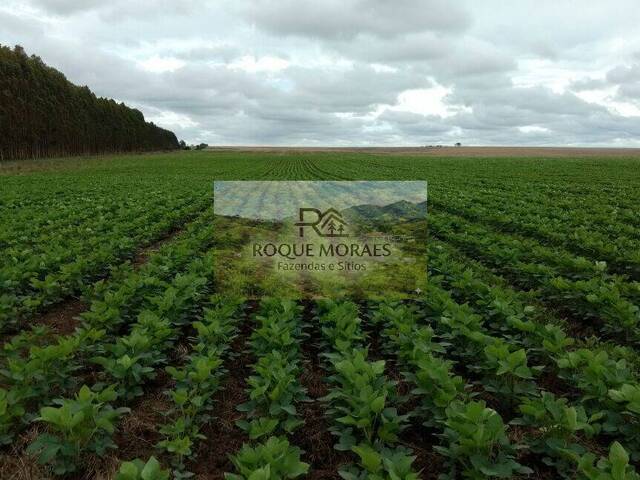 #137 - Fazenda para Venda em São Paulo - SP