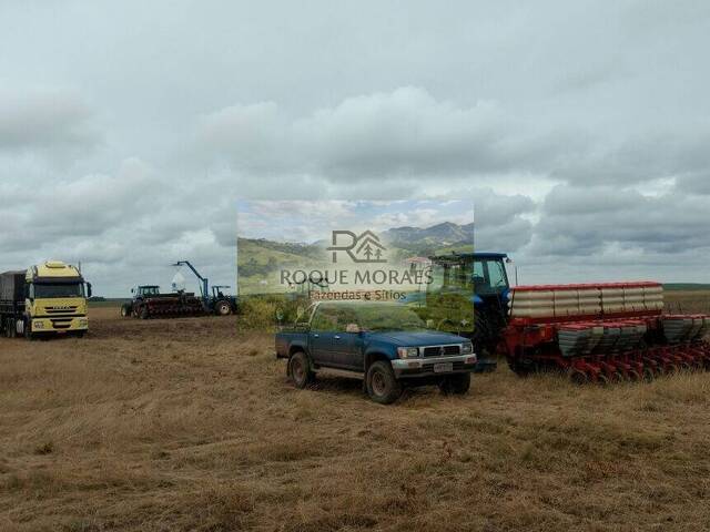 #137 - Fazenda para Venda em São Paulo - SP