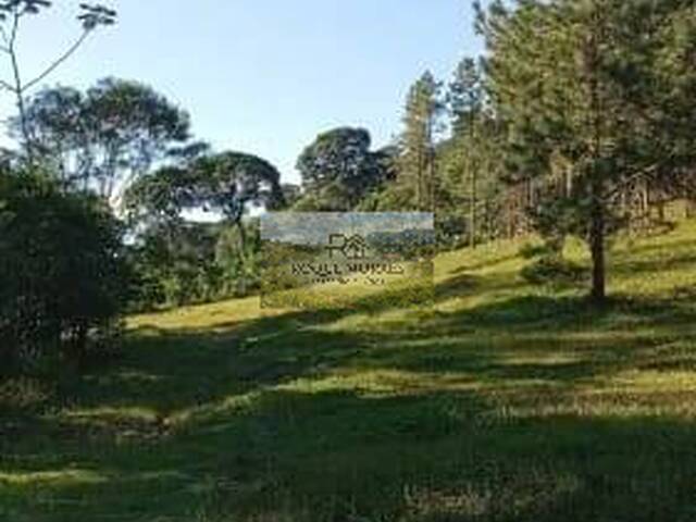 #142 - Fazenda para Venda em São Paulo - SP