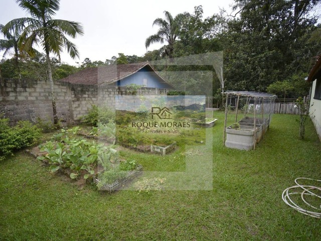 para em - 3