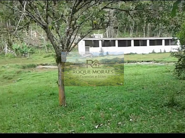  para  em  - 5