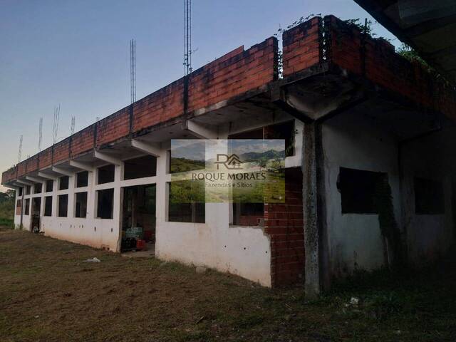  para  em  - 5