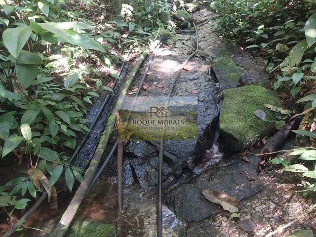 #157 - Sítio para Venda em São Paulo - SP